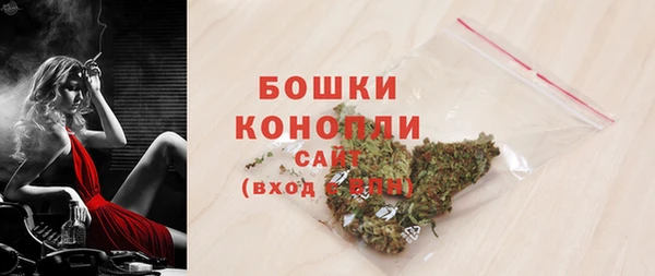 ГАЛЛЮЦИНОГЕННЫЕ ГРИБЫ Балахна