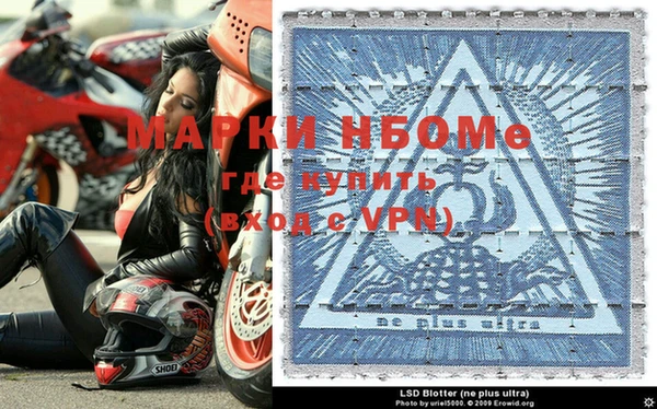 ГАЛЛЮЦИНОГЕННЫЕ ГРИБЫ Балахна
