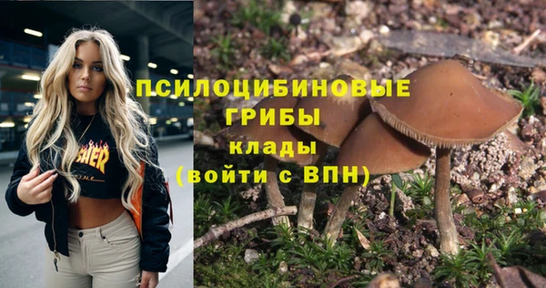 твердый Балабаново